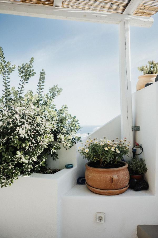 Вілла Kalyva Cycladic House - Ія Екстер'єр фото